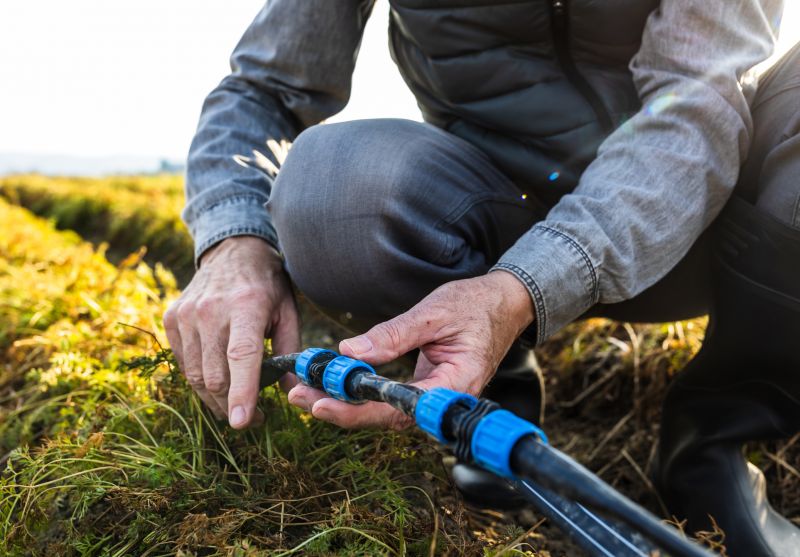 Irrigation Installation in Honolulu, HI