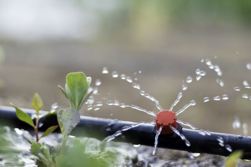 Lawn Irrigation Installation in Honolulu, HI