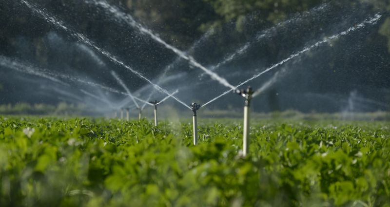 Specialized Irrigation Companies