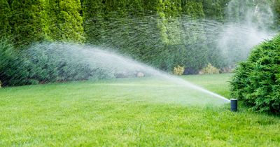 Grass Sprinkler Repair in Honolulu, HI